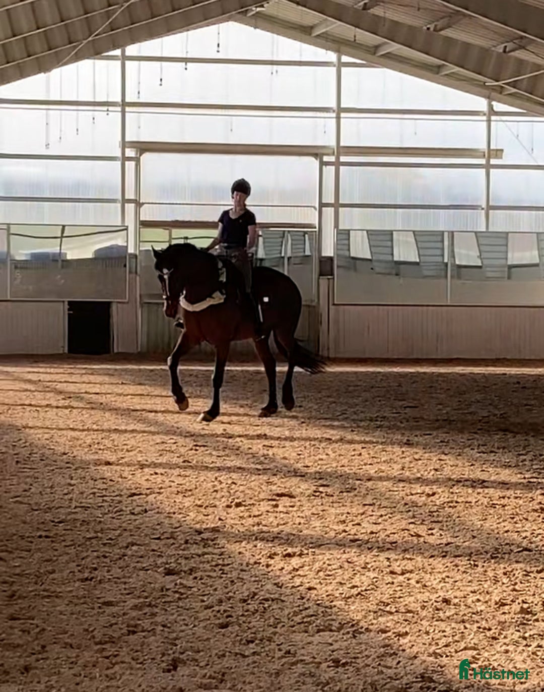  stallplats finnes: Stallplats på stall Toveryd i Jönköping - Annons 1