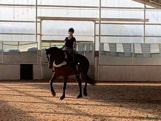 stallplats finnes: Stallplats på stall Toveryd i Jönköping - Annons 1