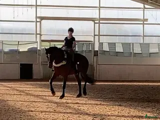 stallplats Stallplats på stall Toveryd - Annons 7