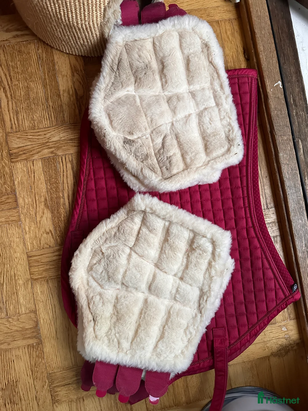 Schabrak & Vojlockar hästutrustning till salu: Snyggt set Eskadron i Borlänge - Annons 2