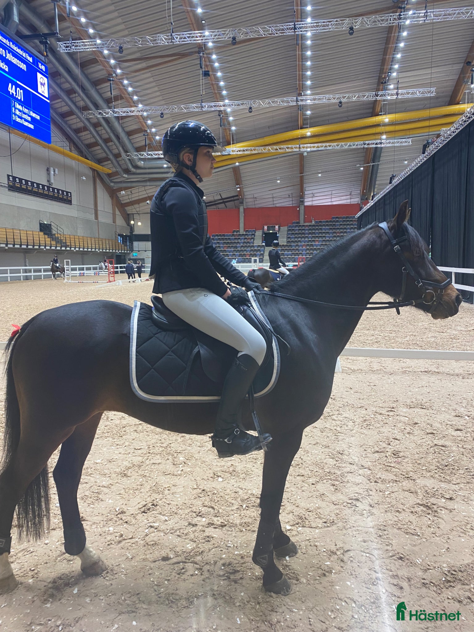  hästar Sportig C-ponny - Annons 18