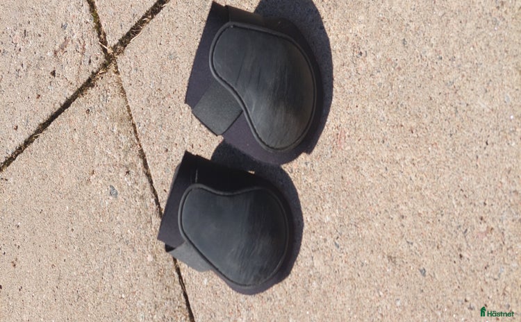 Benskydd hästutrustning till salu i Veddige - Annons 18