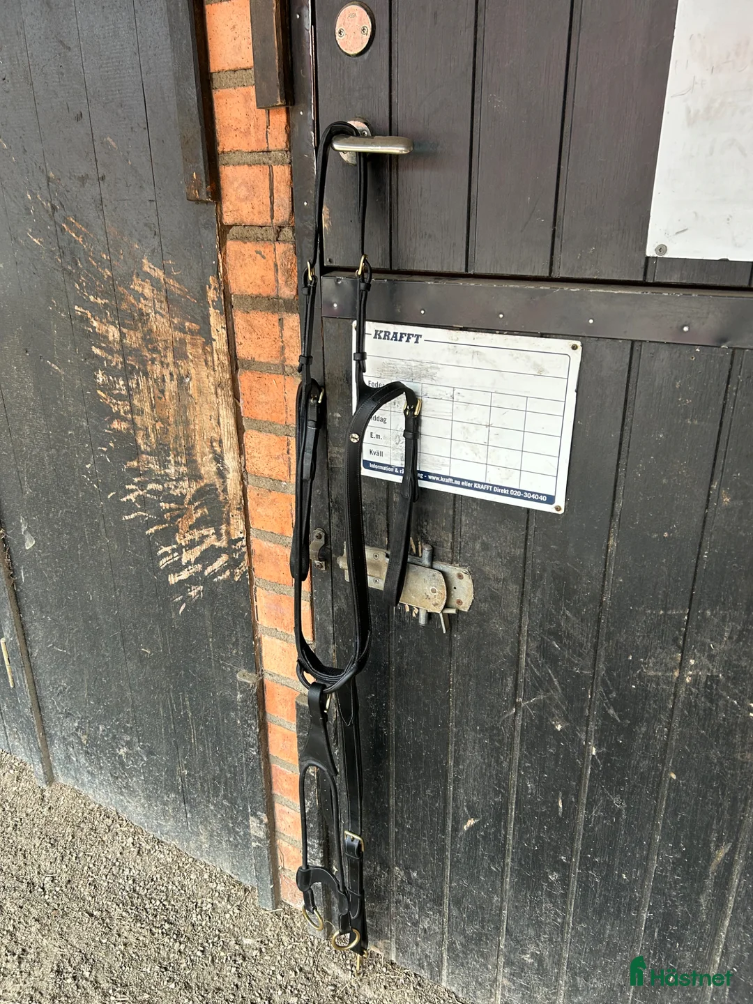 Övrig Hästutrustning hästutrustning till salu: Säljes förbygel från jacson  - Annons 2