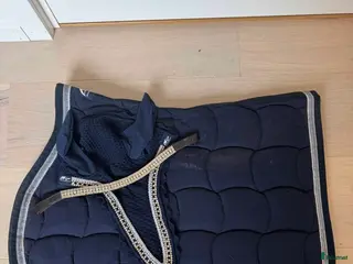 Schabrak & Vojlockar hästutrustning Anna Scarpati set i Umeå - Annons 4