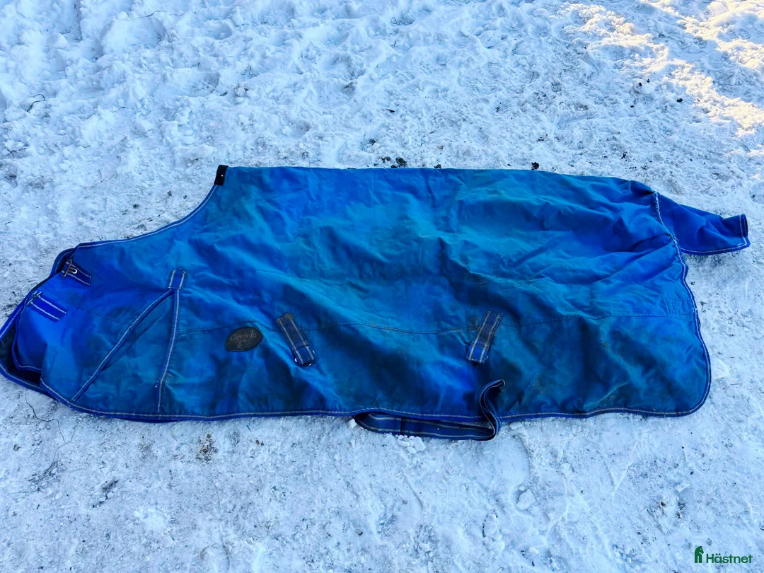 Täcken hästutrustning till salu: 50 grams utetäcke i strl 155 - Annons 1