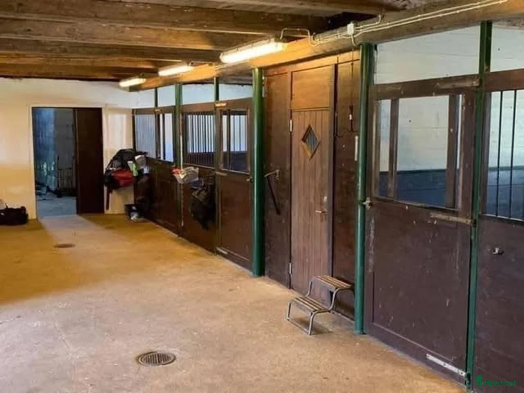  stallplats finnes: Boxplatser uthyres i Sandskogen, Löddeköpinge i Löddeköpinge - Annons 2