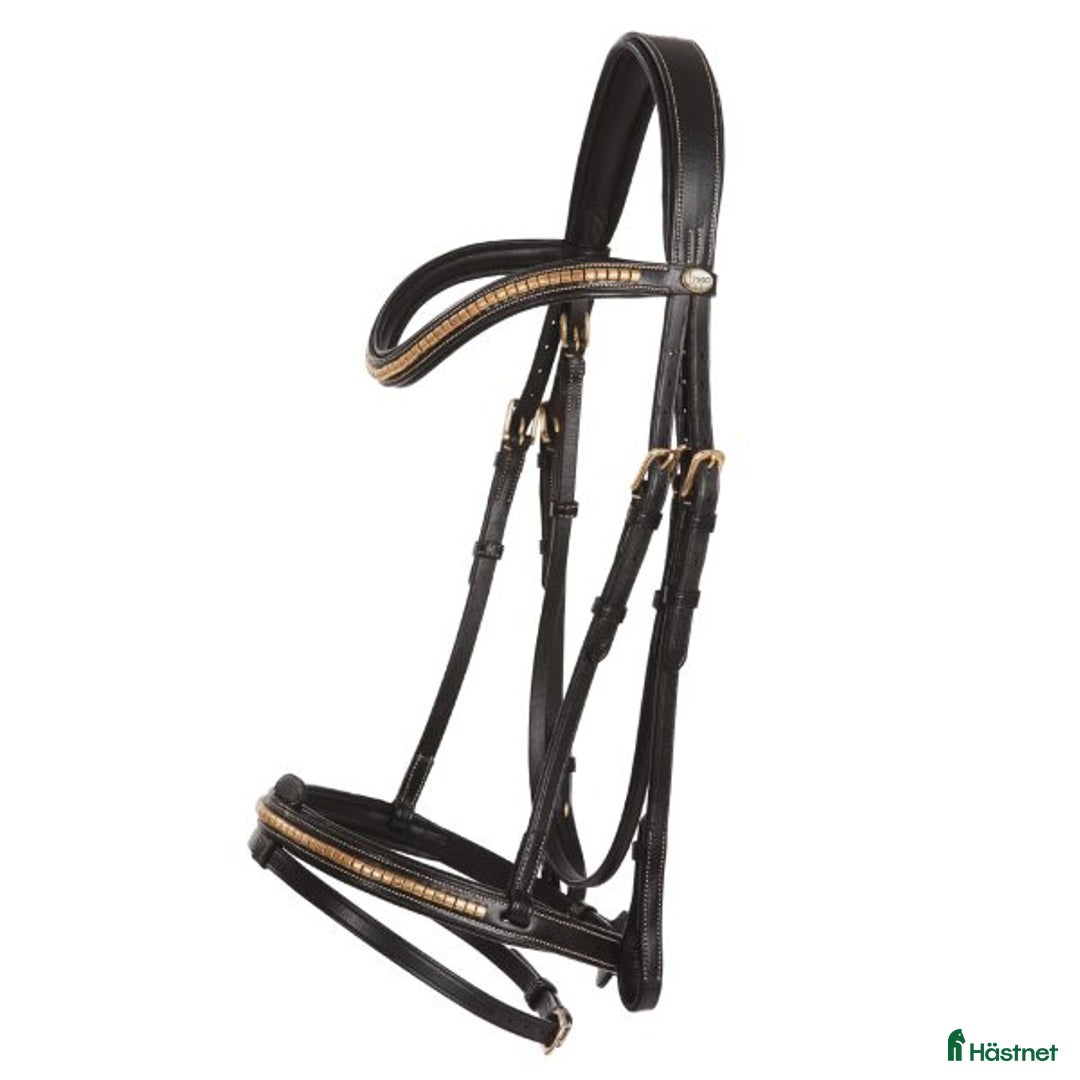 Träns hästutrustning till salu: Super fint nytt träns  i Källby - Annons 1