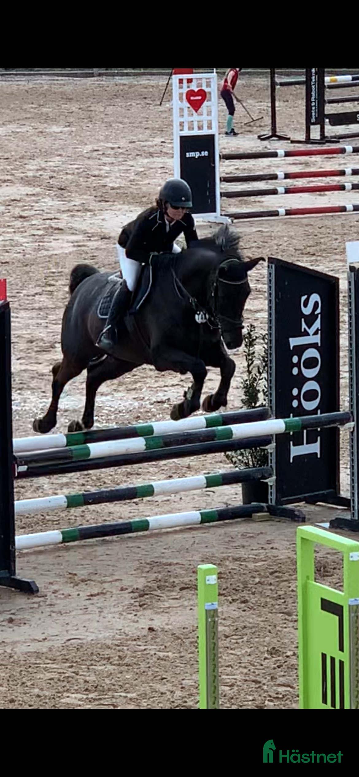  hästar 115 hoppning och Msv dressyr  - Annons 1