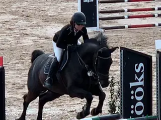 hästar 115 hoppning och Msv dressyr - Annons 1