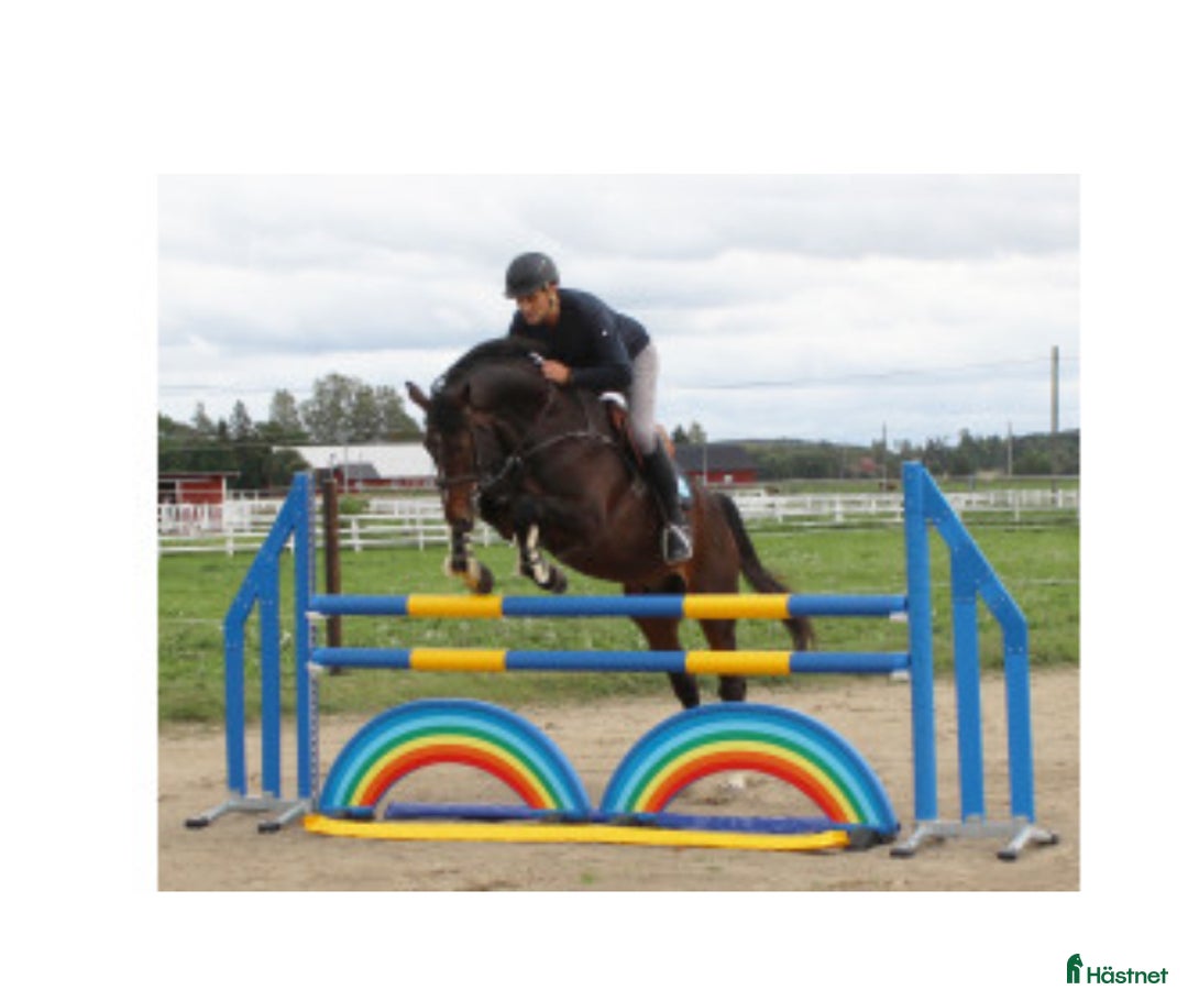 Stallinredning, stängsel & gård övrig utrustning till salu: Hindermaterial i Steninge - Annons 7