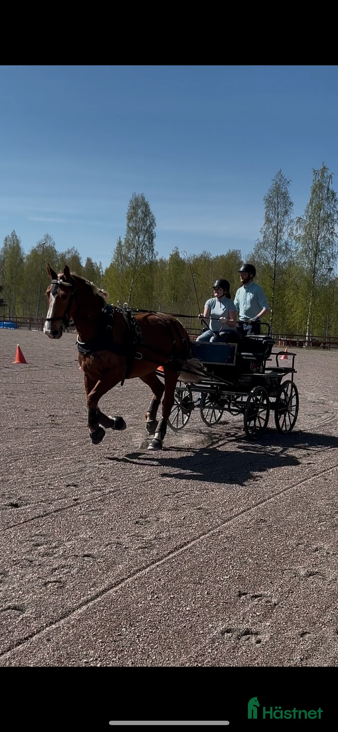 Galleribild {{count}}