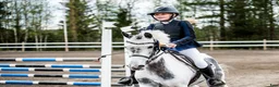 Hoppning hästar till salu: Fantastisk B-ponny! i Skellefteå - Annons 5
