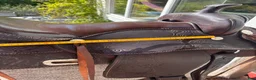 Sadlar hästutrustning till salu: Westernsadel - American Saddlery 16"  - Annons 2