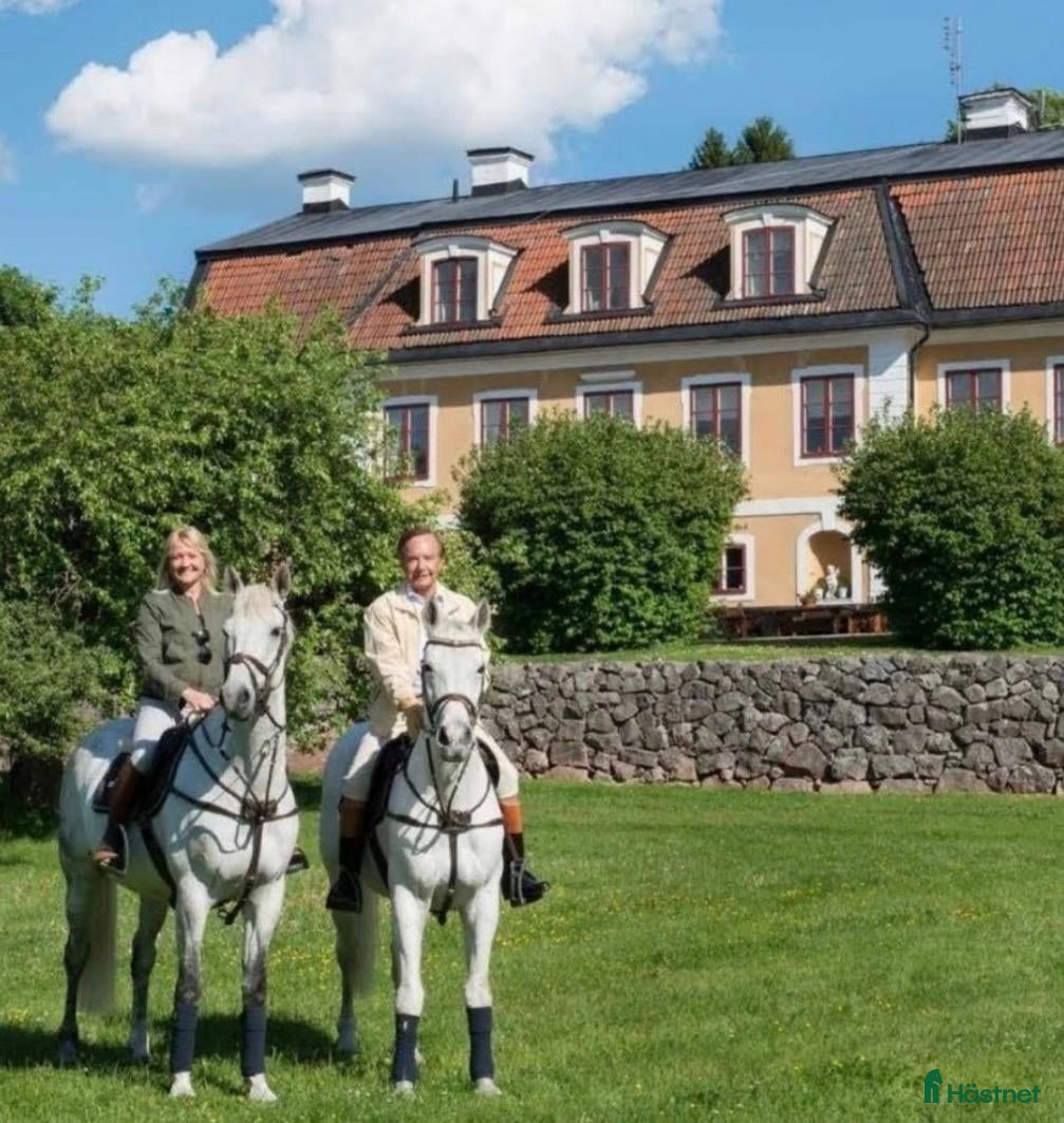  stallplats Stall med bostad uthyres - Annons 2