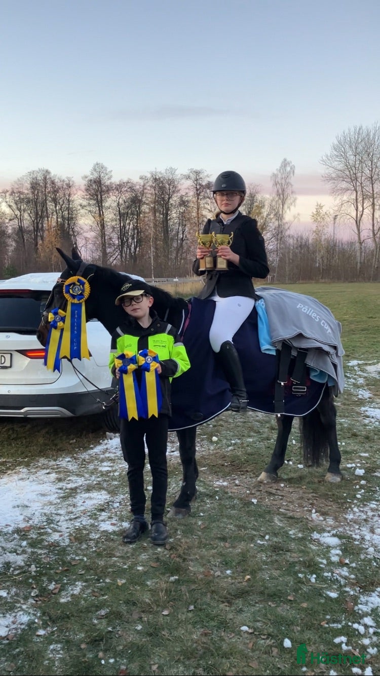  hästar Superfin B-ponny till salu!💘 - Annons 2