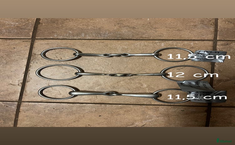 Övrig Hästutrustning hästutrustning till salu: Blandad utrustning  i Forserum - Annons 17