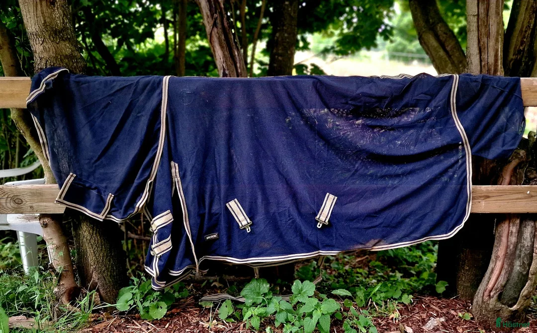 Täcken hästutrustning till salu: Flugtäcken med hals plus ylletäcke - Annons 4