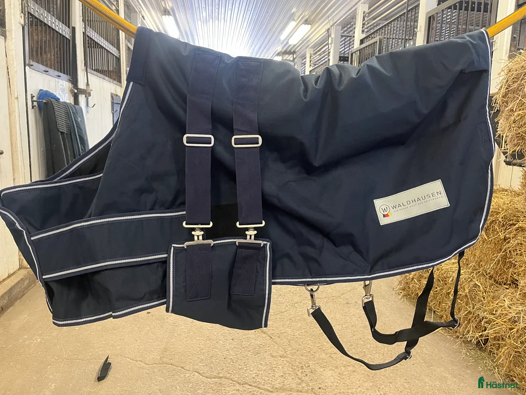 Täcken hästutrustning till salu: Föltäcke Waldhausen  i Borlänge - Annons 1