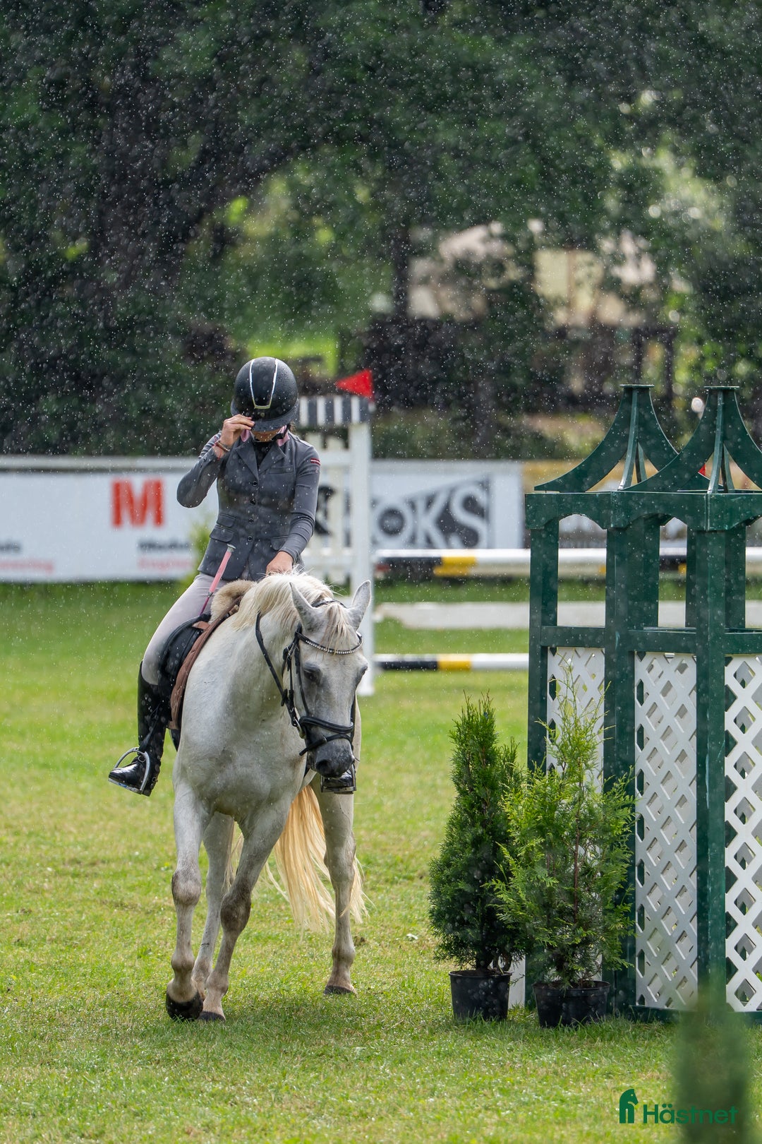 Hoppning hästar till salu: Conemara sport pony i Stockholm - Annons 10
