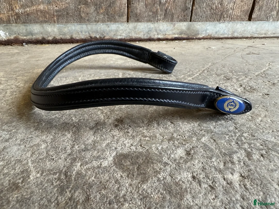 Övrig Hästutrustning hästutrustning till salu: Pannband PS of Sweden i Ekerö - Annons 1