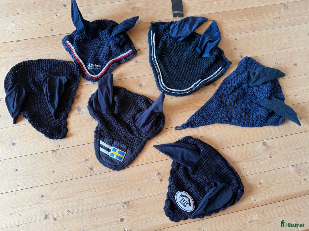 Övrig Hästutrustning hästutrustning till salu: Huvor blå, 6st strl Full i Ystad - Annons 1