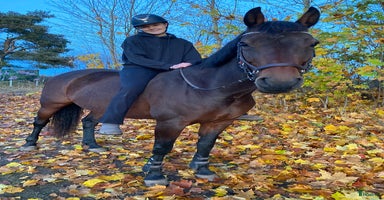  hästar i Vintrosa - Annons 13