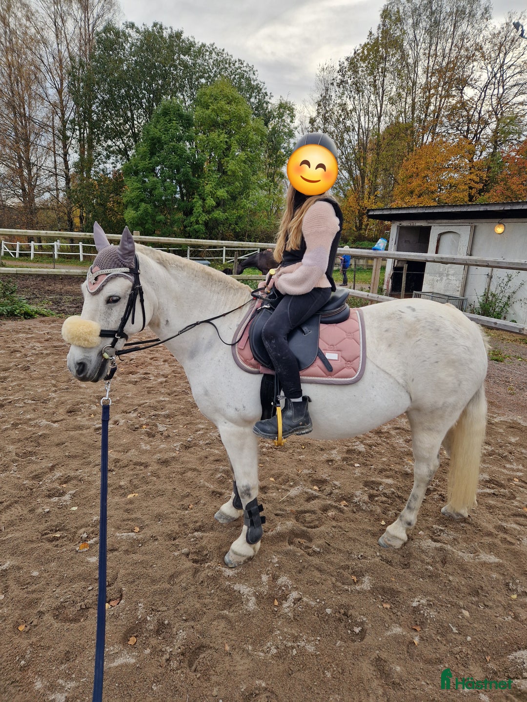 Allround hästar till salu: B ponny  i Åmål - Annons 2