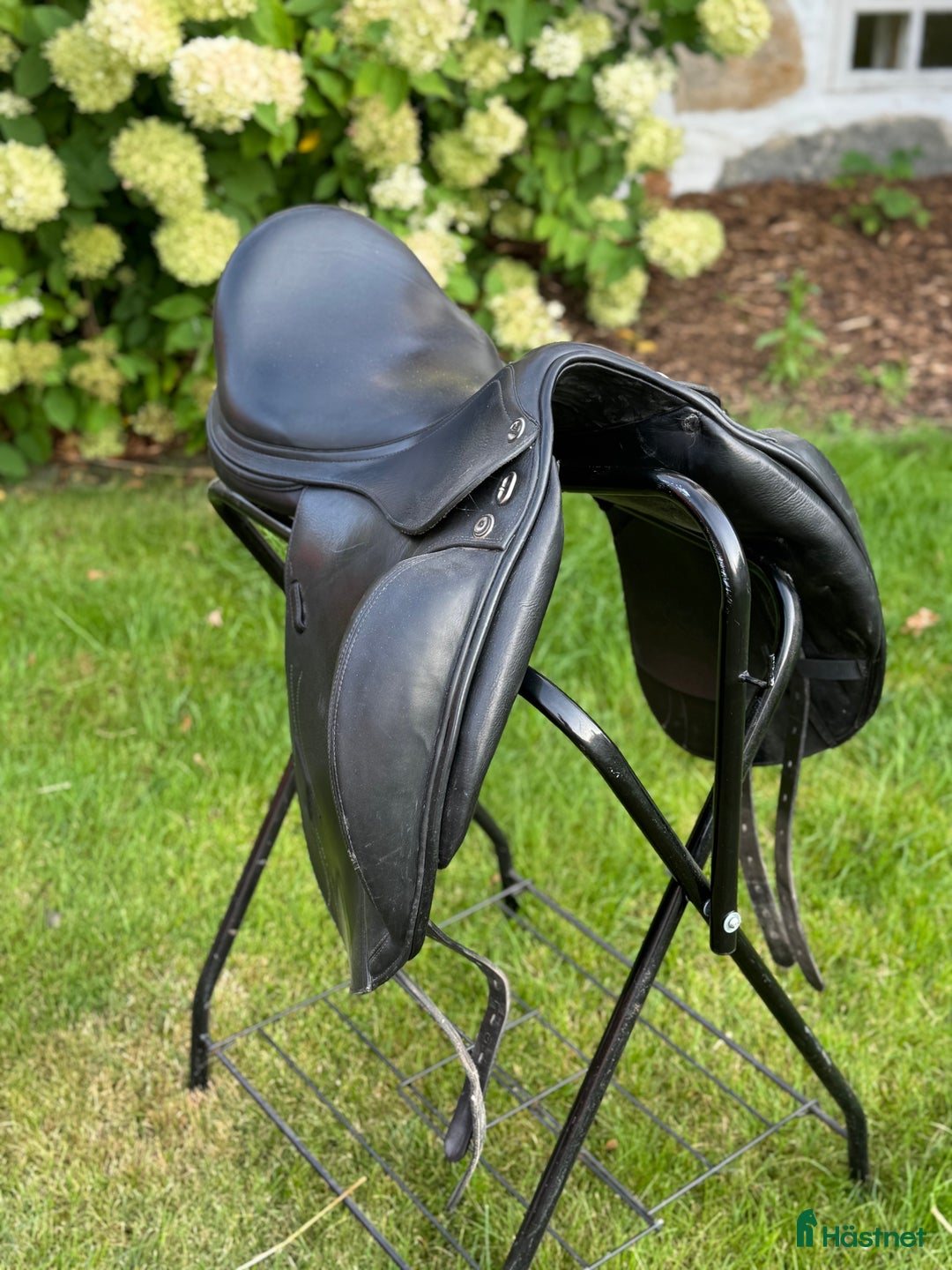 Sadlar hästutrustning till salu: Prestige Philosophy K i Hallaröd - Annons 7