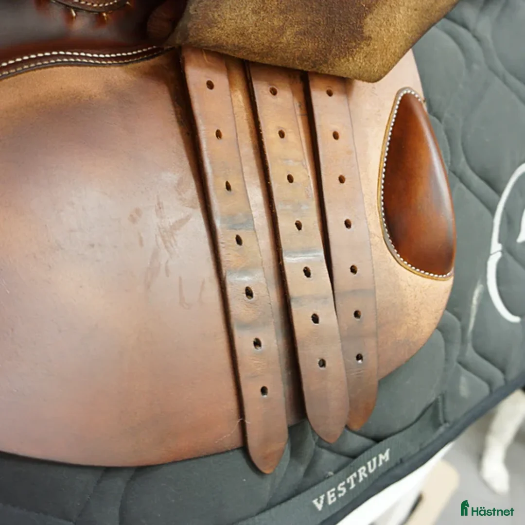 Sadlar hästutrustning till salu: Butet P 17,5" i Upplands Väsby - Annons 6