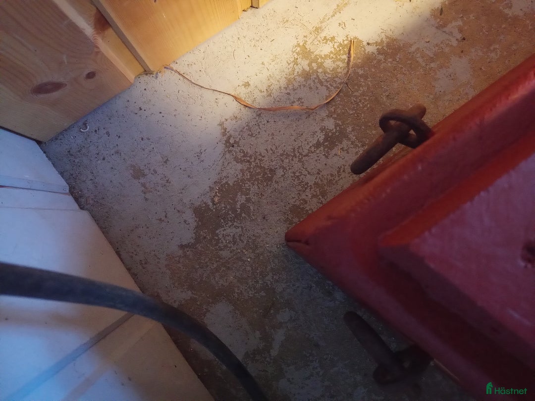 Övrig Körutrustning körning till salu: Snöplog till häst i Asarum - Annons 3