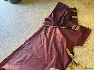 Täcken hästutrustning till salu: Amigo regntäcke 155 i Falun - Annons 20