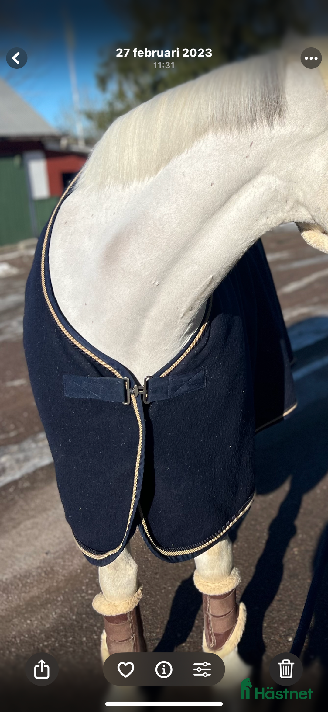 Täcken hästutrustning till salu: Superfint ulltäcke  i Tösse - Annons 2