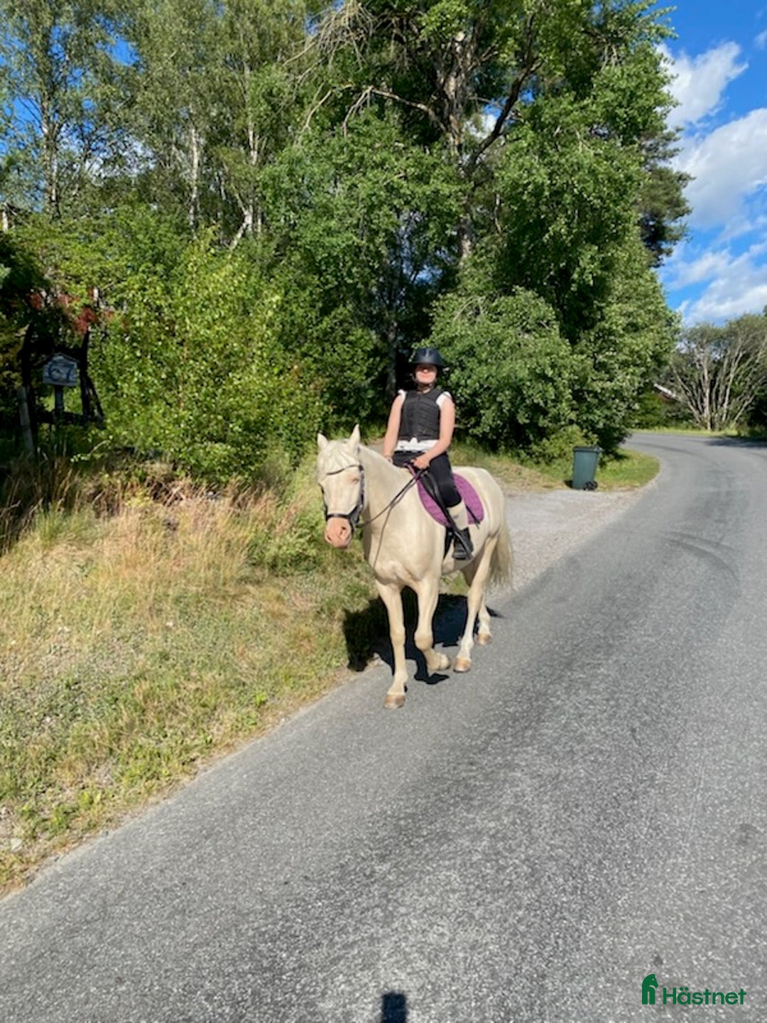 Allround hästar sökes: Söker Medryttarhäst  i Åkersberga - Annons 1
