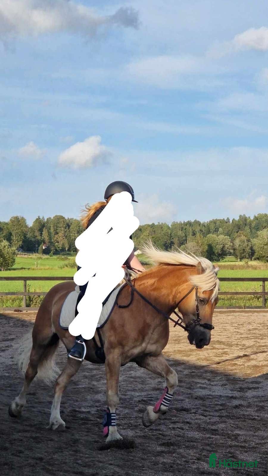  medryttarhäst sökes: Söker Medryttarhäst! i Karlskoga - Annons 10