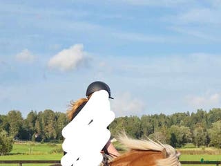 medryttarhäst sökes: Söker Medryttarhäst! - Annons 13