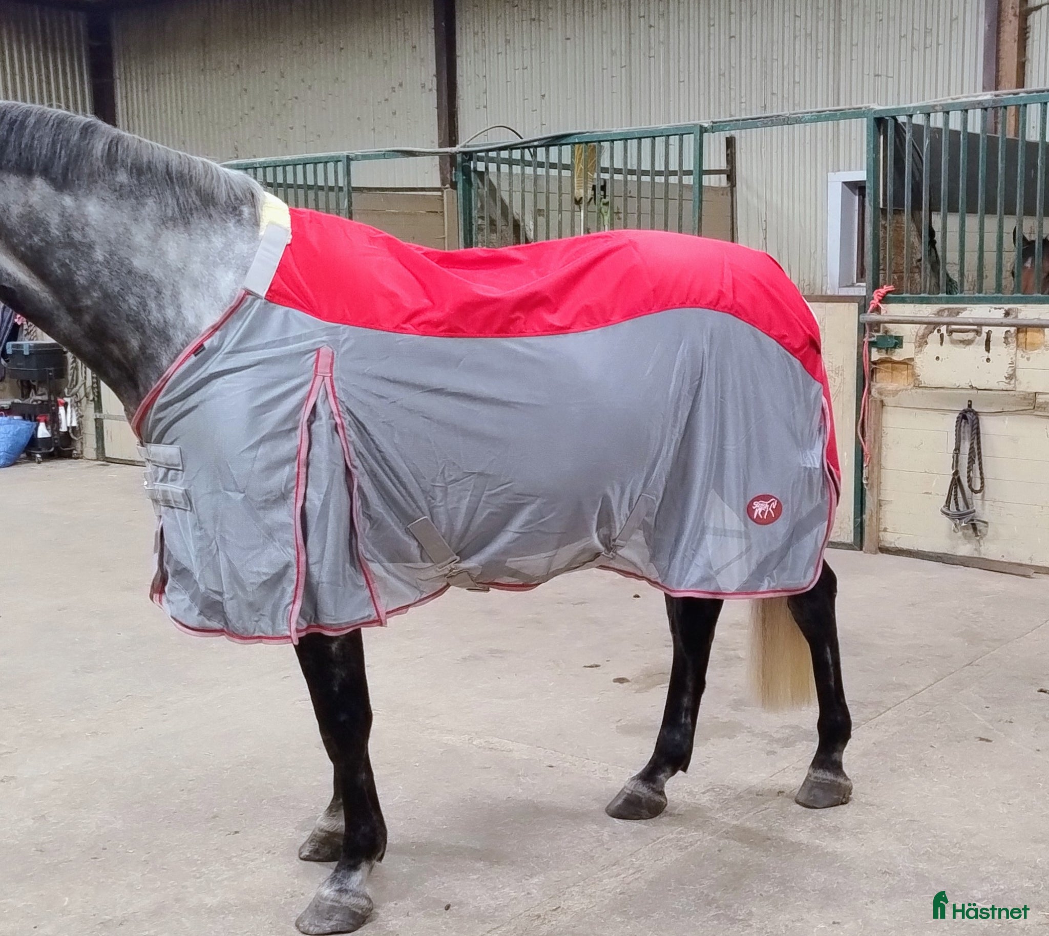 Täcken hästutrustning Regnflugtäcken för breda hästar  - Annons 11