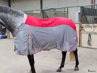 Täcken hästutrustning Regnflugtäcken för breda hästar - Annons 18