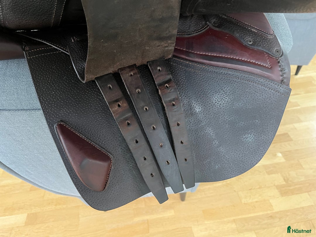 Sadlar hästutrustning till salu: Cwd sadel i Lagan - Annons 7