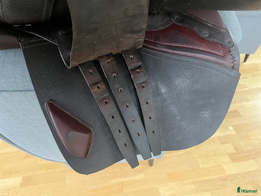 Sadlar hästutrustning till salu: Cwd sadel i Lagan - Annons 7