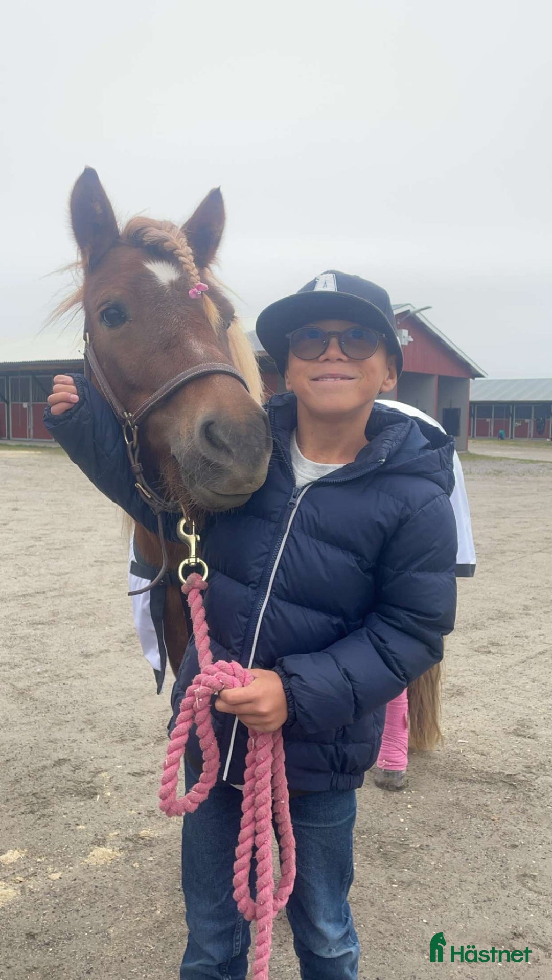 Trav hästar till salu: Trevliga, snälla och duktiga travponnys till salu i Örebro - Annons 10