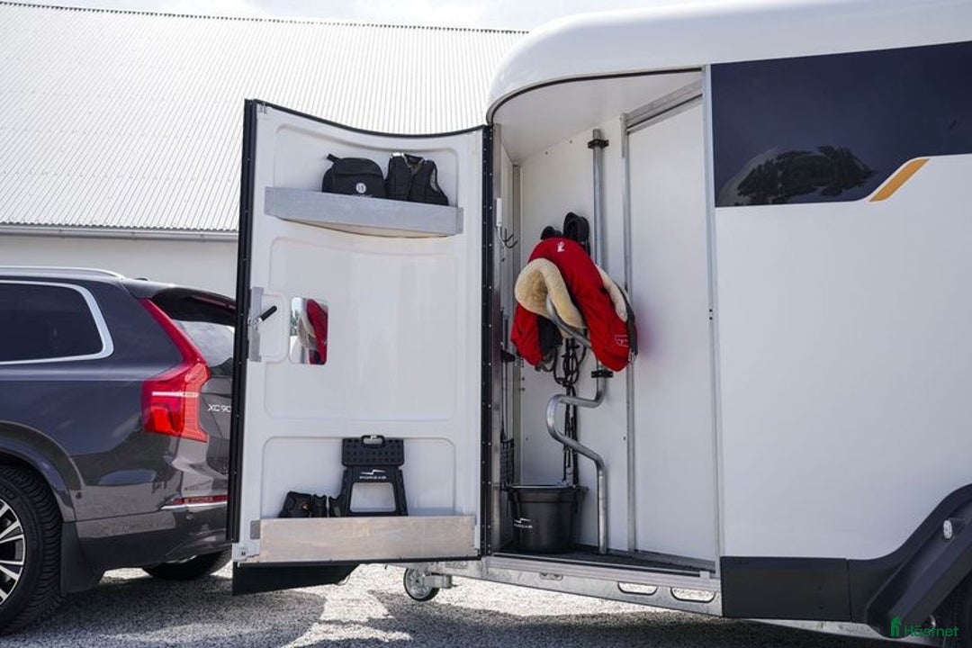 Hästtransporter  fordon & transport till salu: Forzab EQ2 med eller utan fronturlastning i Klippan - Annons 10