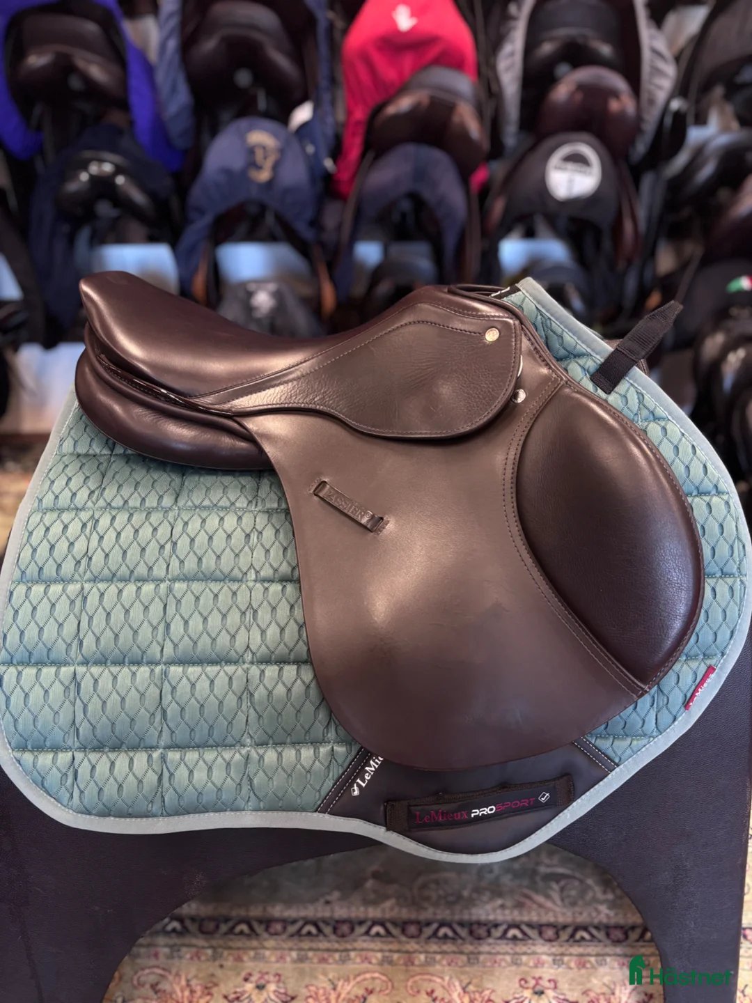 Sadlar hästutrustning till salu: Passier Motion  - Annons 2