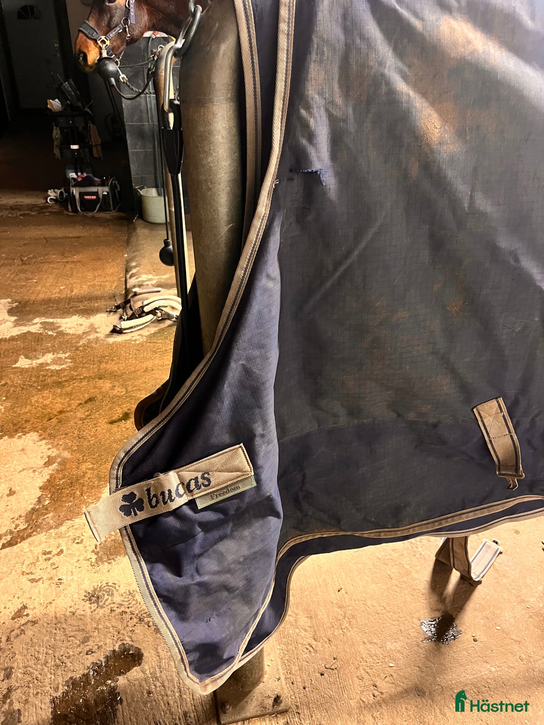 Täcken hästutrustning till salu: Bucas vintertäcke sökes, strl 155 i Borås - Annons 1