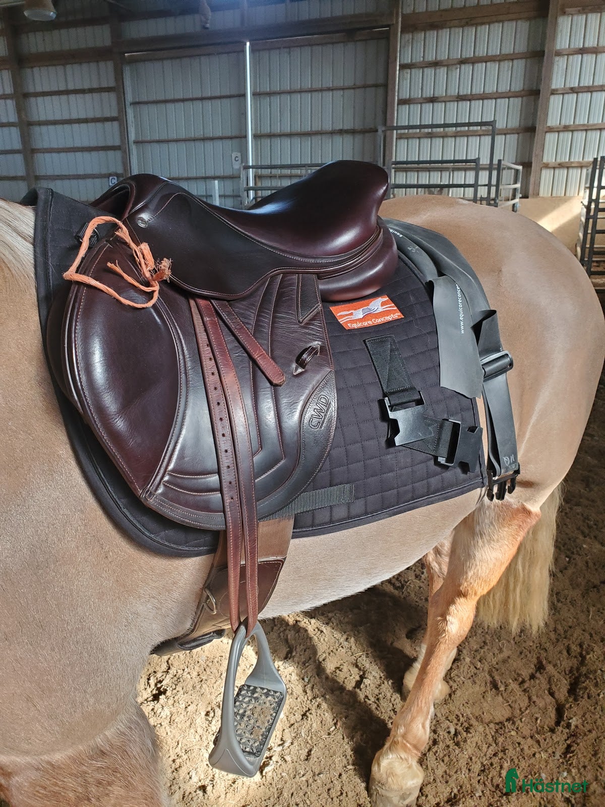 Övrig utrustning övrig utrustning till salu: Equiband Pro system L i Arbrå - Annons 8