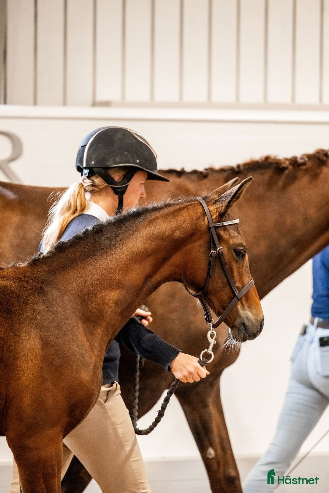 Galleribild {{count}}