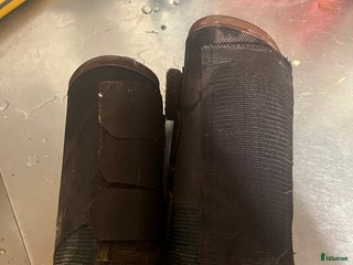 Benskydd hästutrustning till salu: Fälttävlans skydd i Lammhult - Annons 3