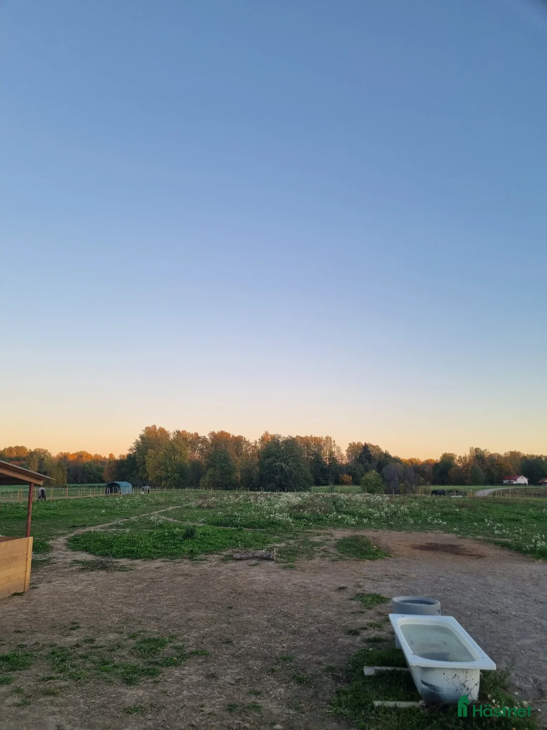  stallplats finnes: Lösdriftsplats finnes - Annons 2