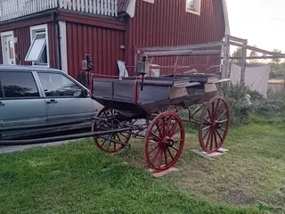Körvagnar körning till salu: Äldre körvagn - Annons 2