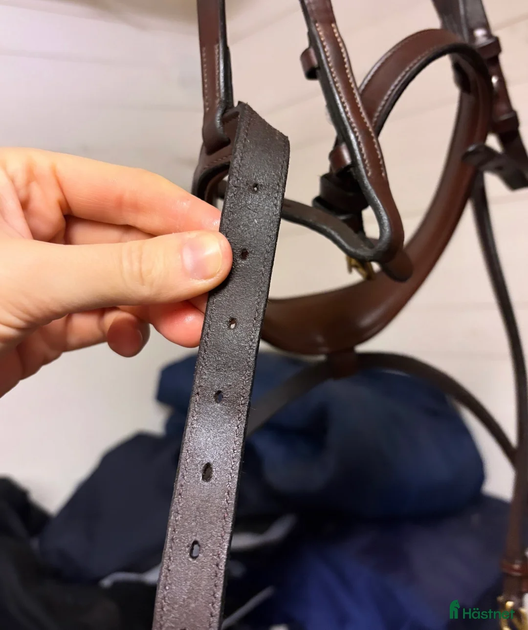 Övrig Hästutrustning hästutrustning till salu: Dyon anatomic - Annons 7