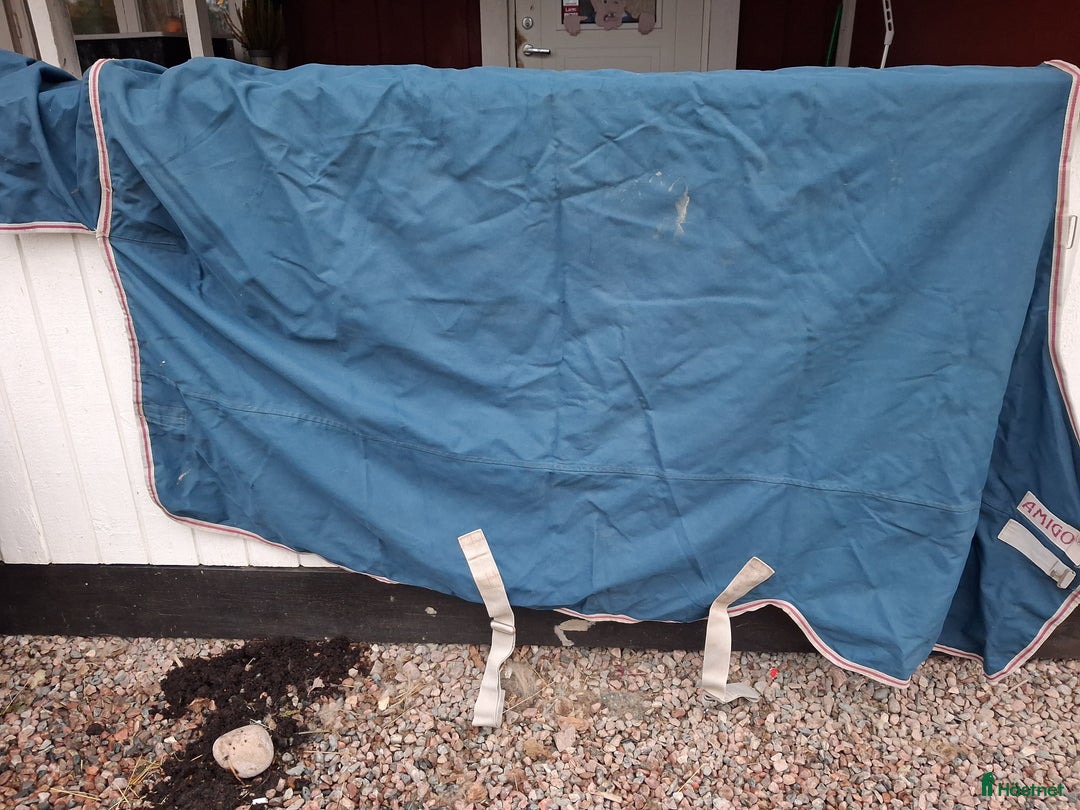 Täcken hästutrustning till salu: Amigo 250g stl155 i Örbyhus - Annons 1